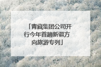 青藏集团公司开行今年首趟新疆方向旅游专列