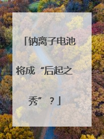 钠离子电池将成“后起之秀”？