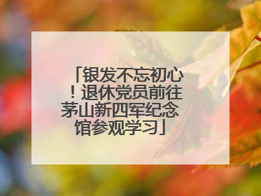 银发不忘初心！退休党员前往茅山新四军纪念馆参观学习