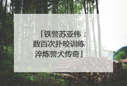 铁警苏亚伟：数百次扑咬训练淬炼警犬传奇