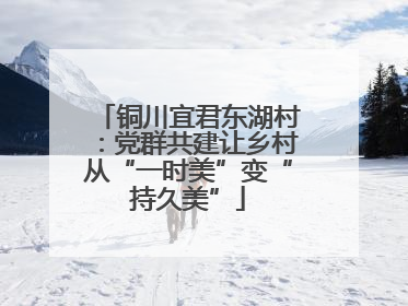 铜川宜君东湖村：党群共建让乡村从“一时美”变“持久美”