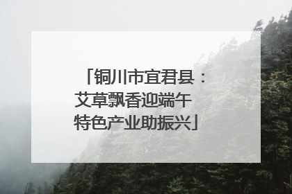 铜川市宜君县：艾草飘香迎端午 特色产业助振兴