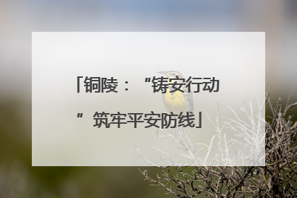 铜陵：“铸安行动”筑牢平安防线