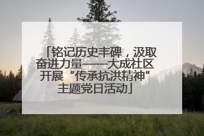 铭记历史丰碑，汲取奋进力量——大成社区开展“传承抗洪精神”主题党日活动