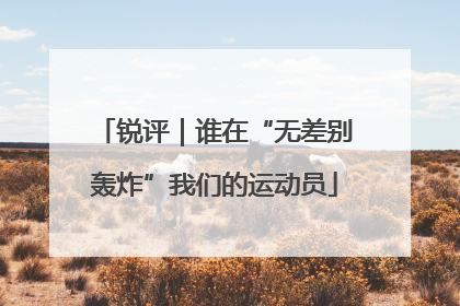 锐评｜谁在“无差别轰炸”我们的运动员