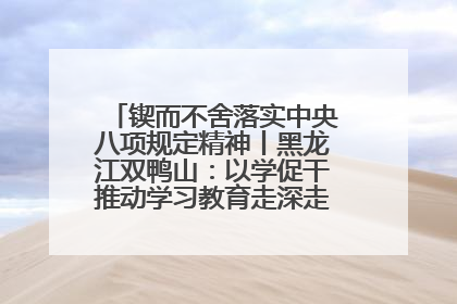 锲而不舍落实中央八项规定精神丨黑龙江双鸭山：以学促干推动学习教育走深走实 从小事入手写好“民生答卷”