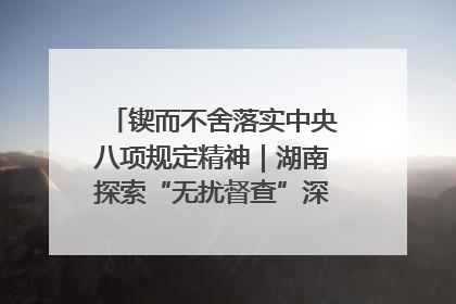 锲而不舍落实中央八项规定精神｜湖南探索“无扰督查”深化基层减负