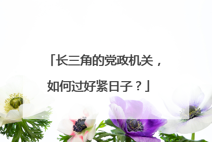 长三角的党政机关，如何过好紧日子？