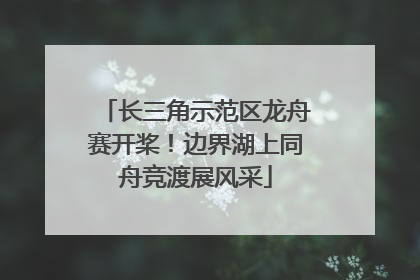 长三角示范区龙舟赛开桨！边界湖上同舟竞渡展风采