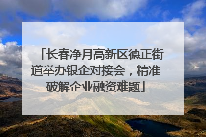 长春净月高新区德正街道举办银企对接会，精准破解企业融资难题