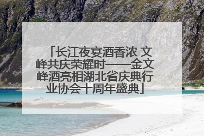 长江夜宴酒香浓 文峰共庆荣耀时——金文峰酒亮相湖北省庆典行业协会十周年盛典