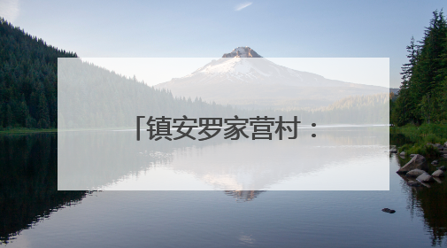镇安罗家营村：“吃水饭”吃出乡村振兴好滋味