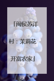 闽侯苏洋村：茉莉花开富农家