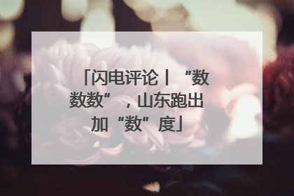 闪电评论丨“数数数”，山东跑出加“数”度