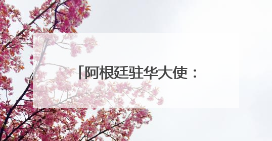 阿根廷驻华大使：发展中国家以中国模式为范本应对挑战
