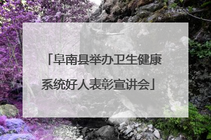 阜南县举办卫生健康系统好人表彰宣讲会