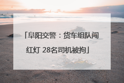 阜阳交警：货车组队闯红灯 28名司机被拘
