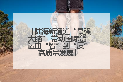 陆海新通道“最强大脑” 带动国际货运由“智”到“质”高质量发展