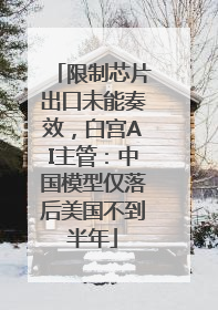 限制芯片出口未能奏效，白宫AI主管：中国模型仅落后美国不到半年