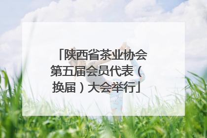 陕西省茶业协会第五届会员代表（换届）大会举行