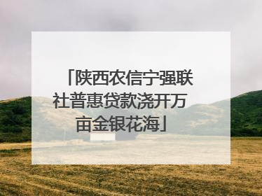 陕西农信宁强联社普惠贷款浇开万亩金银花海