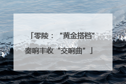 零陵：“黄金搭档”奏响丰收“交响曲”