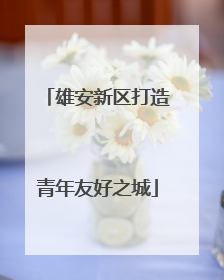 雄安新区打造青年友好之城