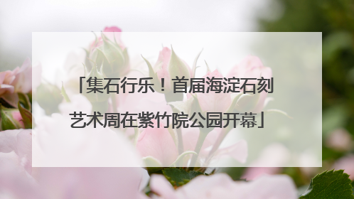 集石行乐！首届海淀石刻艺术周在紫竹院公园开幕