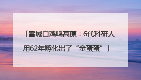 雪域白鸡鸣高原：6代科研人用62年孵化出了“金蛋蛋”
