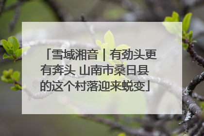 雪域湘音｜有劲头更有奔头 山南市桑日县的这个村落迎来蜕变