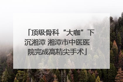 顶级骨科“大咖”下沉湘潭 湘潭市中医医院完成高精尖手术