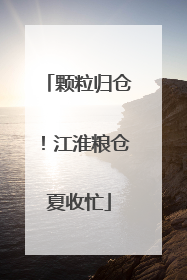 颗粒归仓！江淮粮仓夏收忙