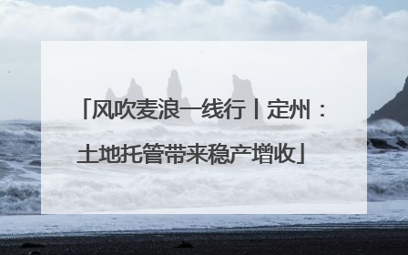 风吹麦浪一线行丨定州：土地托管带来稳产增收