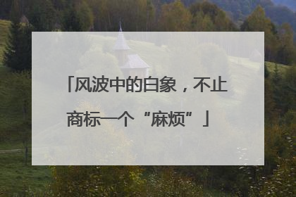 风波中的白象，不止商标一个“麻烦”