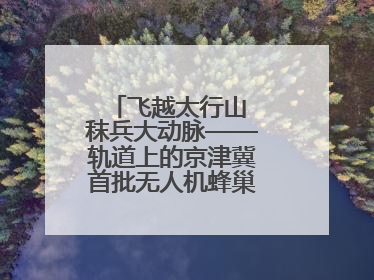 飞越太行山 秣兵大动脉——轨道上的京津冀首批无人机蜂巢投入汛期实战
