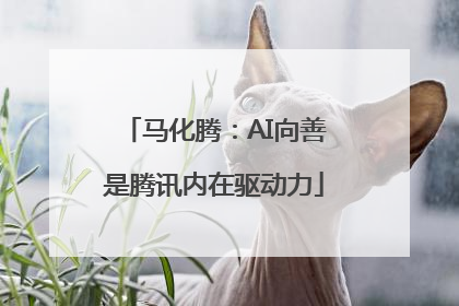 马化腾：AI向善是腾讯内在驱动力