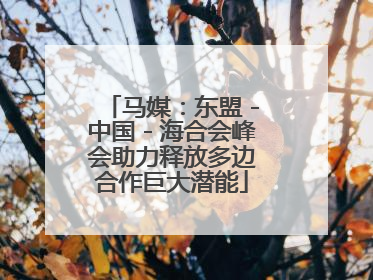 马媒：东盟－中国－海合会峰会助力释放多边合作巨大潜能