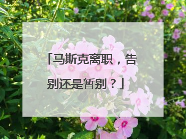 马斯克离职，告别还是暂别？