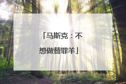 马斯克：不想做替罪羊