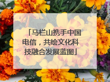 马栏山携手中国电信，共绘文化科技融合发展蓝图