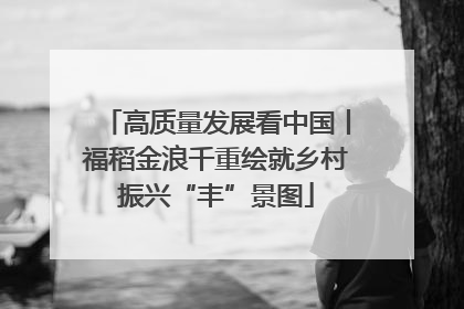 高质量发展看中国丨福稻金浪千重绘就乡村振兴“丰”景图