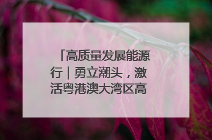 高质量发展能源行｜勇立潮头，激活粤港澳大湾区高质量发展动力源