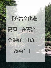 齐鲁文化进高原：在青洽会讲好“山东故事”