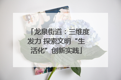 龙泉街道：三维度发力 探索文明“生活化”创新实践