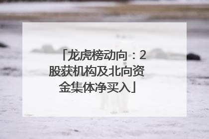 龙虎榜动向：2股获机构及北向资金集体净买入