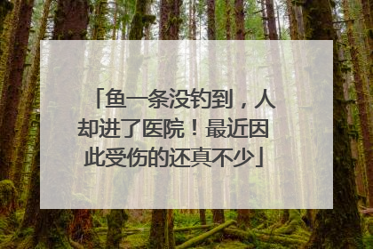 鱼一条没钓到，人却进了医院！最近因此受伤的还真不少