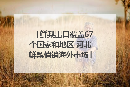 鲜梨出口覆盖67个国家和地区 河北鲜梨俏销海外市场