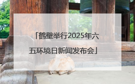 鹤壁举行2025年六五环境日新闻发布会