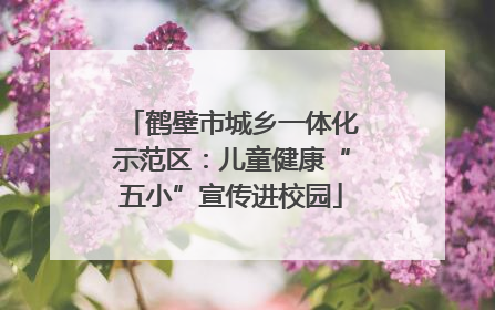 鹤壁市城乡一体化示范区：儿童健康“五小”宣传进校园