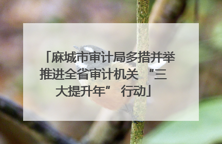 麻城市审计局多措并举推进全省审计机关 “三大提升年” 行动